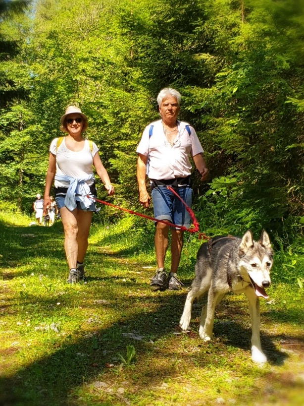 cani-rando-2
