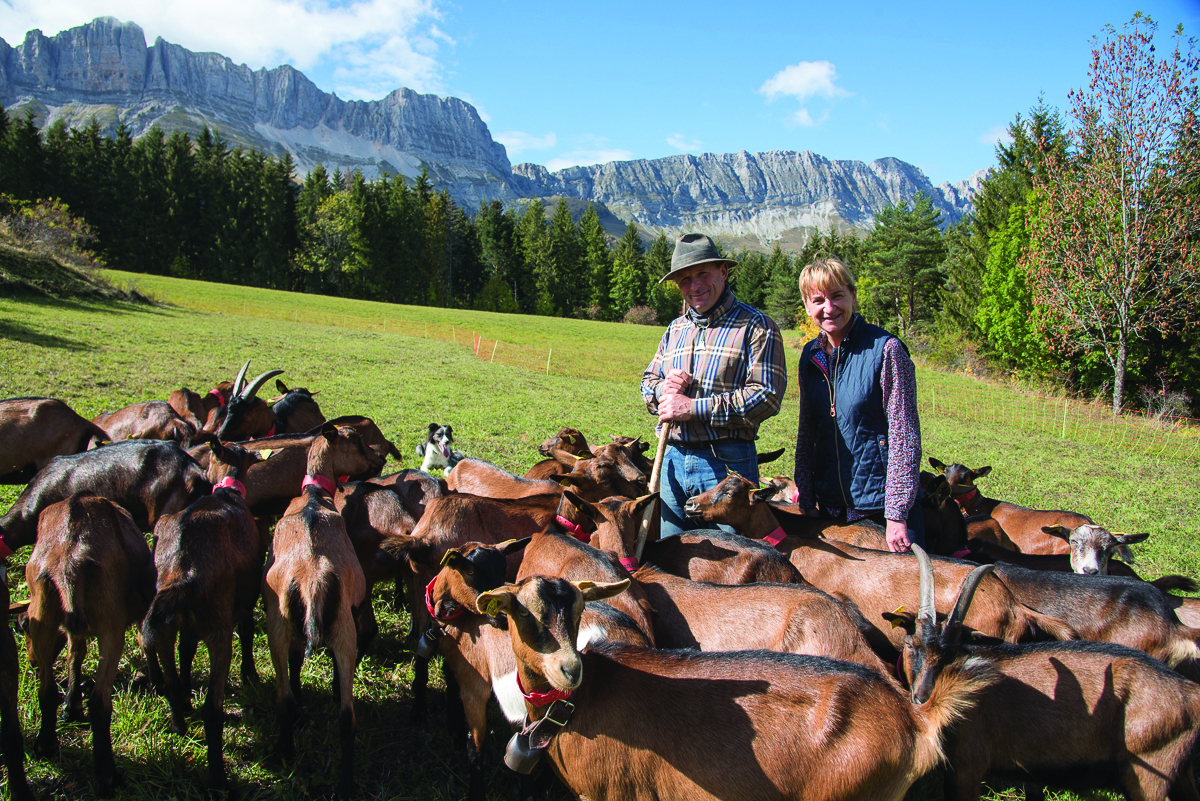 IsÃĻre . TriÃĻves et Vercors . Ferme du Grand Veymont chez Anne-Laure et Gilles Apeloig, ÃĐleveurs de chÃĻvres et de brebis